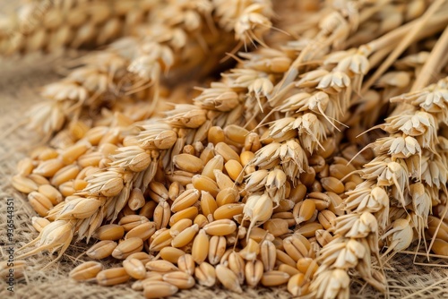 Wheat Ear and Grains. Natural Healthy Cereal Food Background