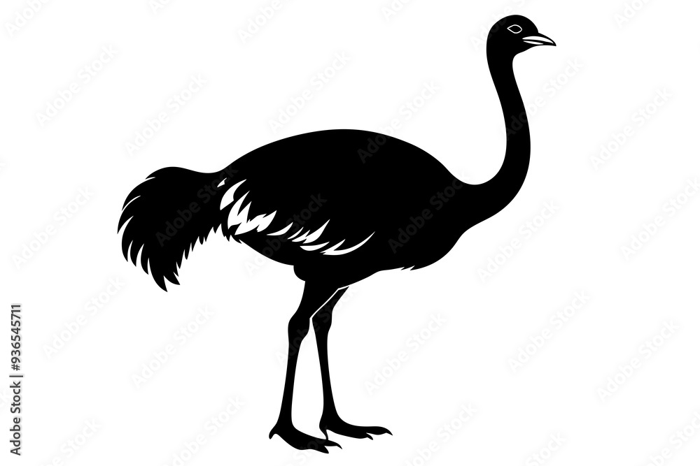 Ostrich silhouette vector design on a white background Ostrich silhouette vector design on a white background