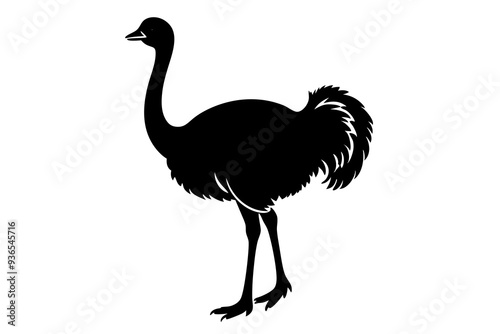 Ostrich silhouette vector design on a white background