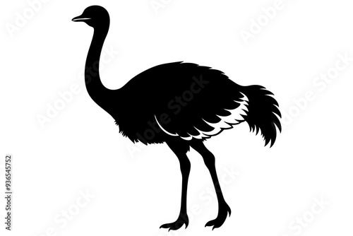 Ostrich silhouette vector design on a white background