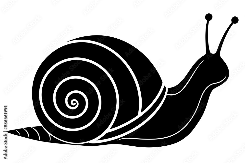Silhouette vector snail on white background 