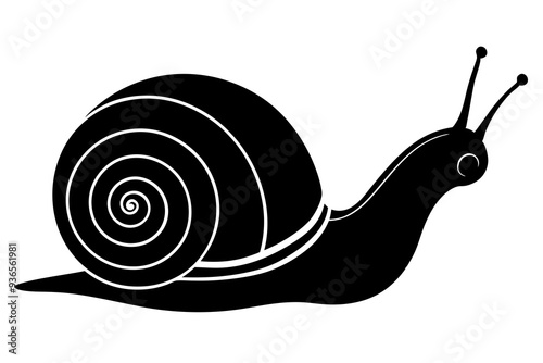 Silhouette vector snail on white background 