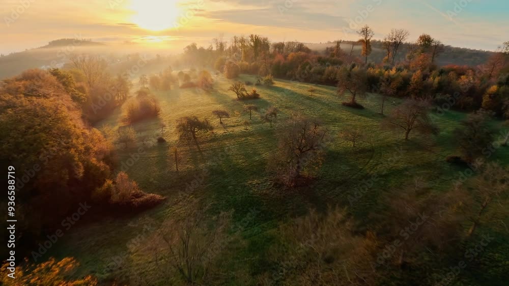 Flying fast over idyllic rural landscape towards the rising sun. FPV drone moving low by the beautiful trees in gold morning light and mist
