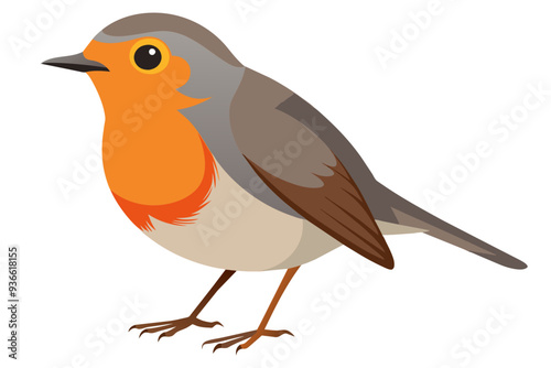  European robin vector art illustration