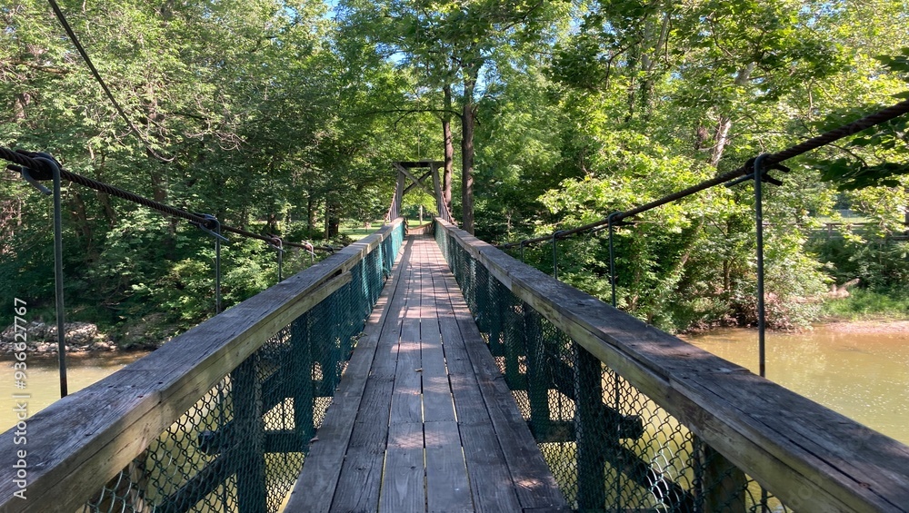 Obraz premium Toll bridge surrounded by trees