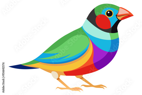  Gouldian finch bird vector art illustration photo