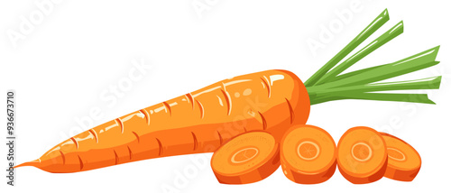 Fresh carrots, whole and slices. Flat design illustration