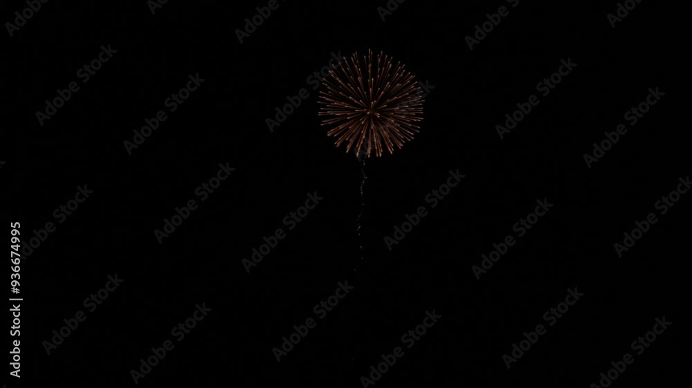 花火のスローモーション 花火のスローモーション