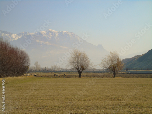 A large, open meadown with two trees and mountains in the distanc photo