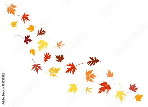 Autumn maple leaves, orange fall leaf, thanksgiving or halloween design elements in orange red and yellow autumn colors, seasonal clip art or png design elements for border or background illustrations