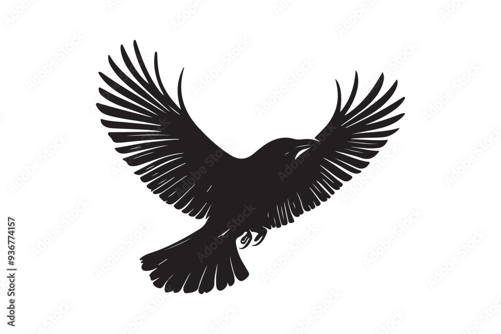 Flying Bird with Spread Wings Silhouette - Black and White Vector Art Flying Bird with Spread Wings Silhouette - Black and White Vector Art