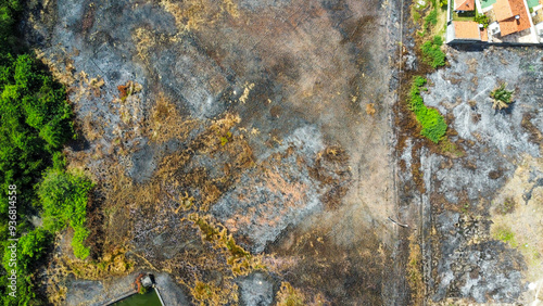 Deforestation