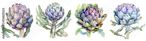 A beautiful watercolor artichoke, pastel colors