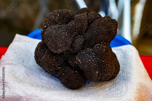 Winter truffle fair in Sarlat-le-Caneda, Perigord Noir, Dordogne, one huge black winter truffle, tasty expensive mushroom photo