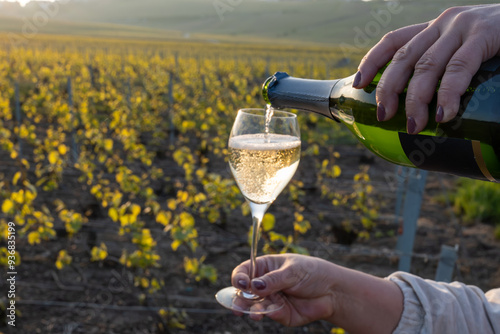 Tasting of grand cru sparkling brut white wine champagne on sunny vineyards of Cote des Blancs in village Cramant, Champagne, France, pouring of wine photo