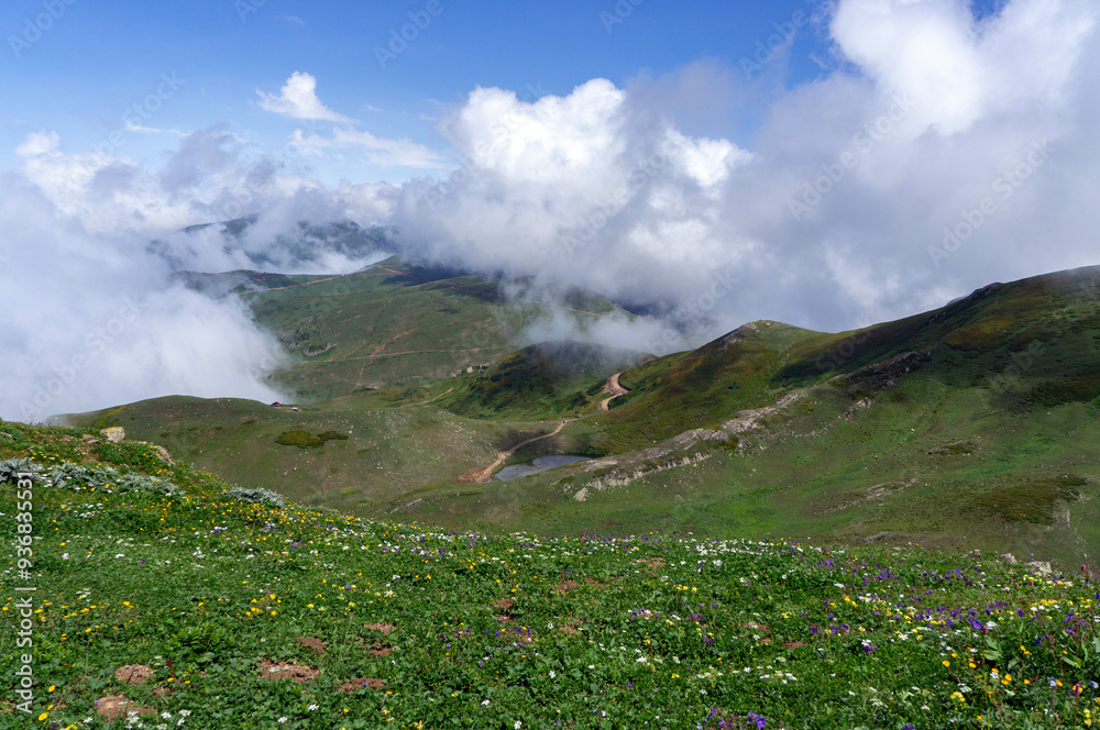 Fototapeta premium Green summer mountains, beautiful hills covered in green grass. Big fluffy clouds, or fog, over the mountains. Hiking season.