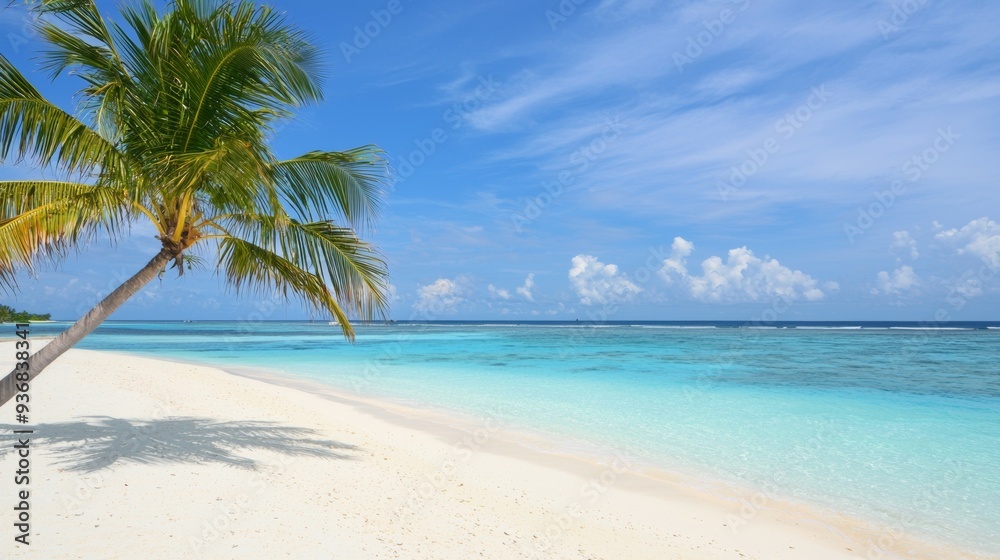 A palm tree is on a beach with a clear blue sky A palm tree is on a beach with a clear blue sky