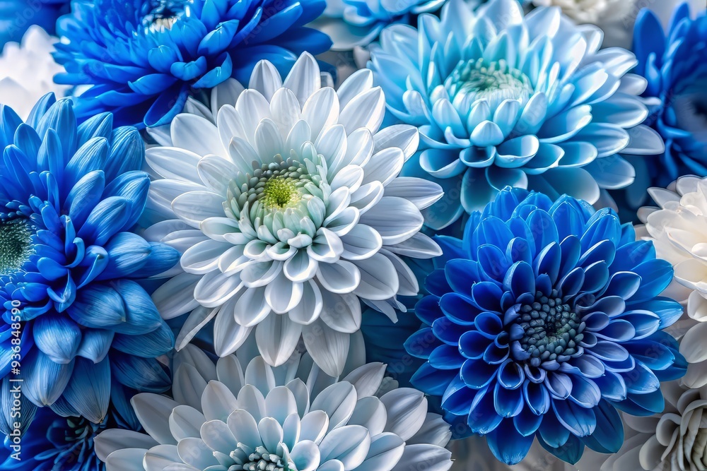Obraz premium The dominant colors of the scheme are blue, grey, and white, blending harmoniously to create a soothing atmosphere that calms the senses.