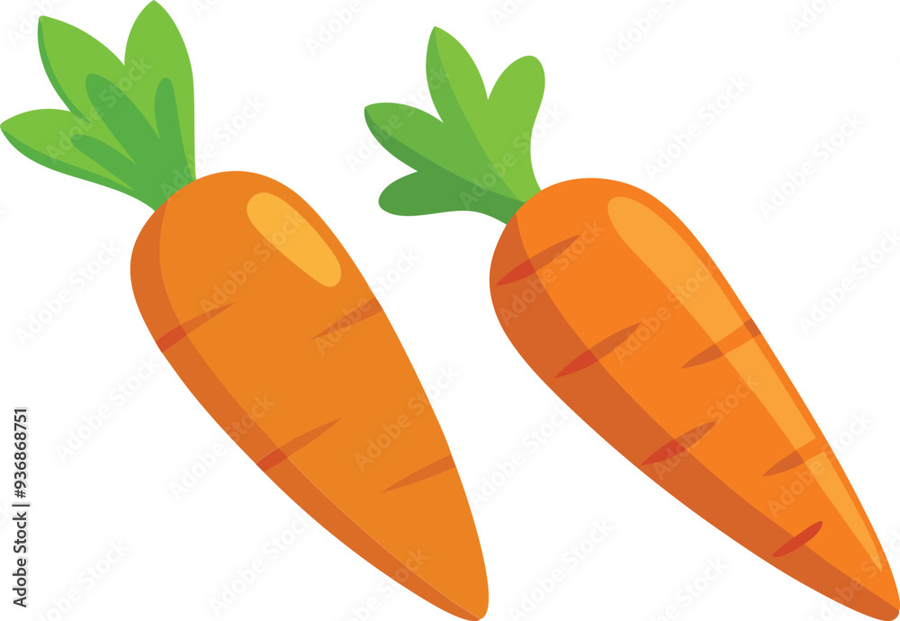 carrot vector illustration on white background carrot vector illustration on white background