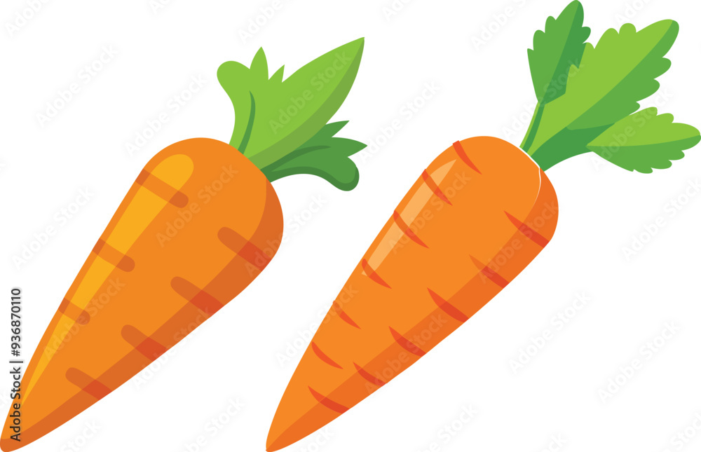 carrot vector illustration on white background carrot vector illustration on white background