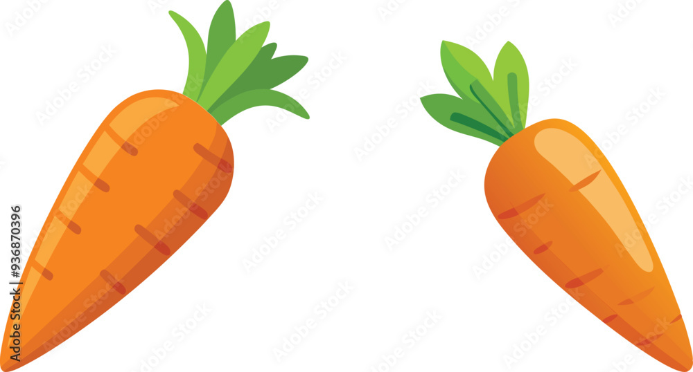 carrot vector illustration on white background carrot vector illustration on white background