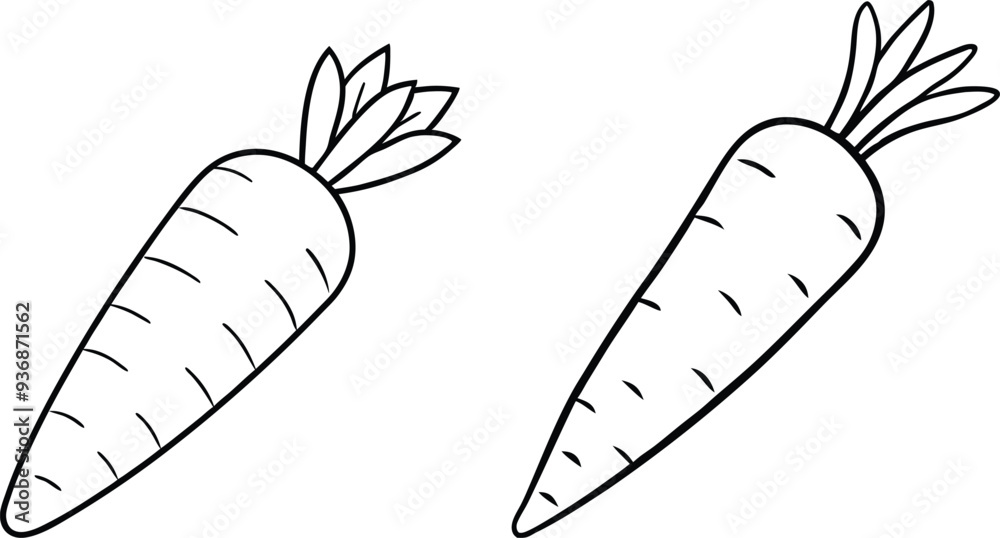 carrot vector illustration on white background carrot vector illustration on white background