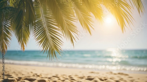 Palm Fronds Overlooking a Sunny Beach