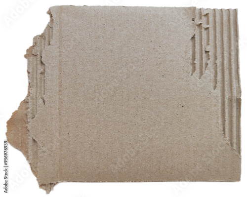 isolated cardboard piece ripped and torn texture