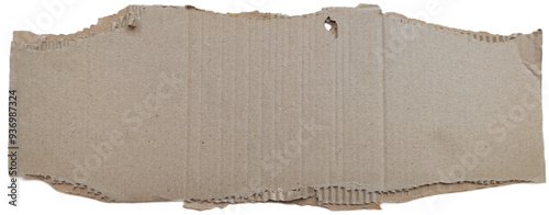 Torn cardboard background