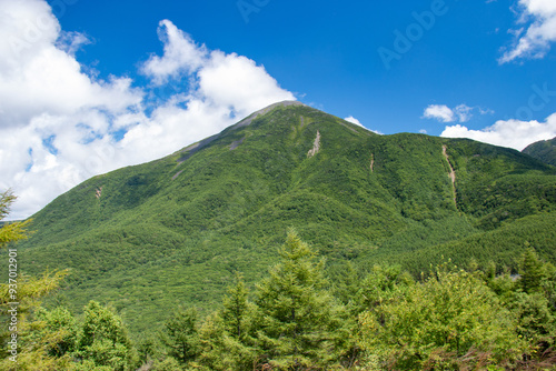 絶景の八子ヶ峰トレッキング　北八ヶ岳　蓼科山遠景　長野県　日本 photo