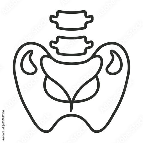 Pelvis outline icon, showing anatomy outline icon, minimalist vector illustration and transparent graphic element. Isolated on white background