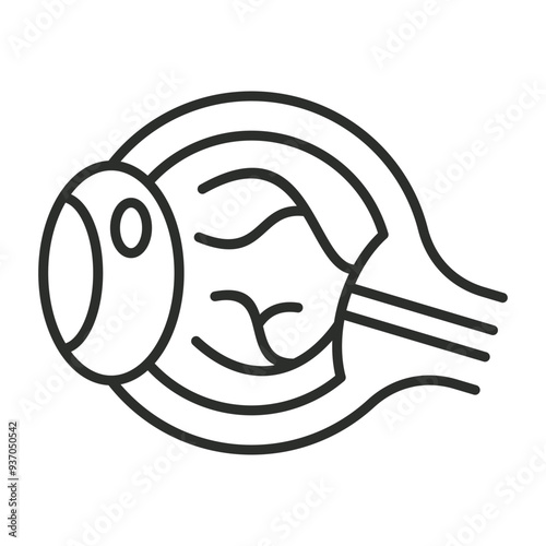 Eye outline icon, showing anatomy outline icon, minimalist vector illustration and transparent graphic element. Isolated on white background