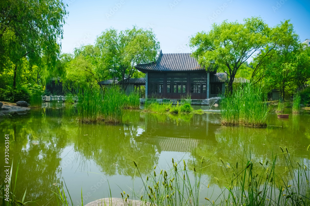 Obraz premium Serene Pond in a Garden: A Tranquil Nature Retreat