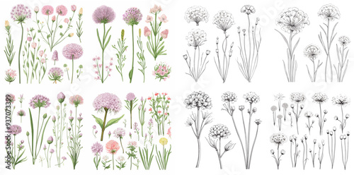 Four sets of flowers are shown, with each set featuring a different color scheme. The flowers are drawn in various styles, including some with a more realistic look