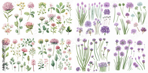Four sets of flowers with different colors and sizes. The flowers are arranged in a way that they look like they are in a garden