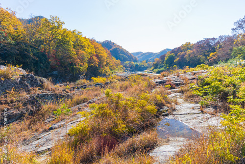 日本の風景・秋 埼玉県長瀞町 紅葉の秩父長瀞 岩畳