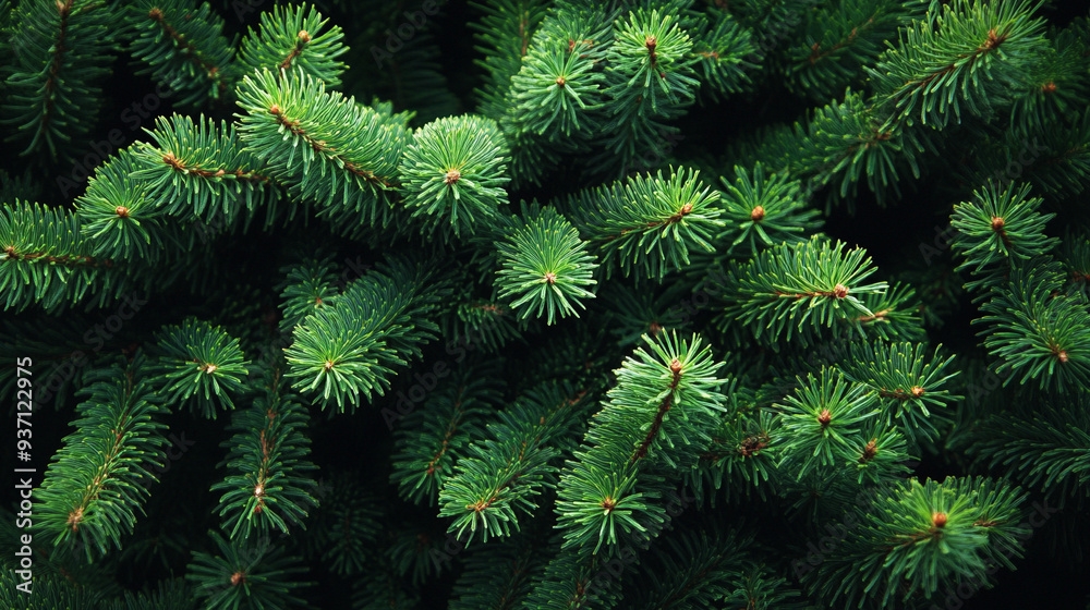 Christmas tree fir branch with soft festive lighting, creating a seamless, cheerful background for holiday decorations and seasonal celebrations Christmas tree fir branch with soft festive lighting, creating a seamless, cheerful background for holiday decorations and seasonal celebrations