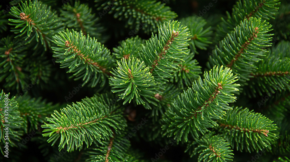 Christmas tree fir branch with soft festive lighting, creating a seamless, cheerful background for holiday decorations and seasonal celebrations Christmas tree fir branch with soft festive lighting, creating a seamless, cheerful background for holiday decorations and seasonal celebrations