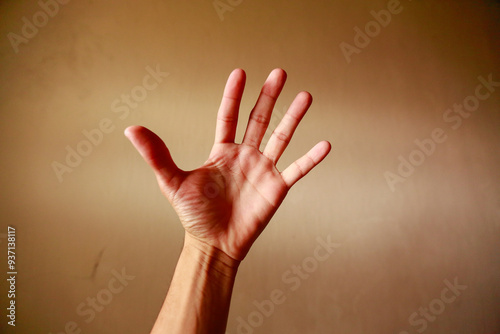hands