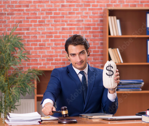 Young handsome lawyer working in his office