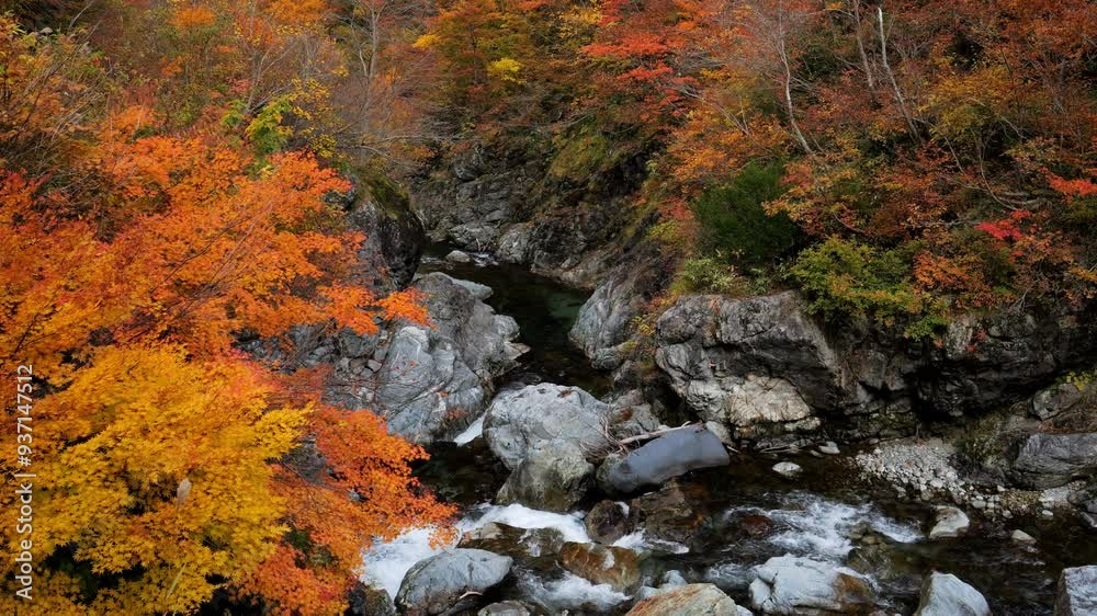 新潟・三国川の紅葉30 新潟・三国川の紅葉30