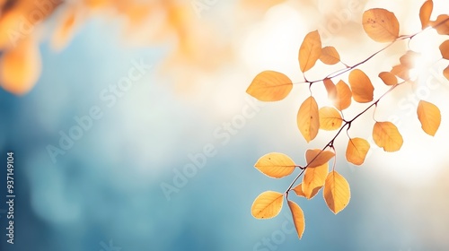 Autumn Branch Foliage: Sunlit Blurred Leaves on Blue Sky, Banner Template for Nature Design