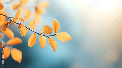 Autumn Branch Foliage: Sunlit Blurred Leaves on Blue Sky, Banner Template for Nature Design