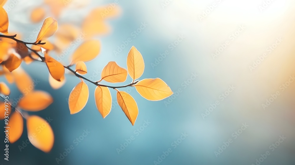 Abstract Autumn Nature Wallpaper: Blurred Leaves, Golden Foliage, Blue Sky Banner Template Abstract Autumn Nature Wallpaper: Blurred Leaves, Golden Foliage, Blue Sky Banner Template