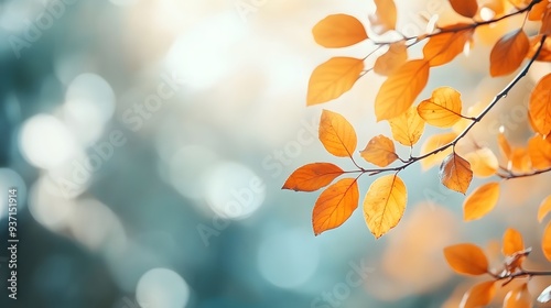 Autumn Branch Foliage: Sunlit Blurred Leaves on Blue Sky, Banner Template for Nature Design