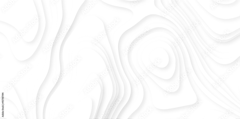 Abstract paper cut white background. Topographic canyon map light relief texture, Abstract paper cut white background. Topographic canyon map light relief texture,
