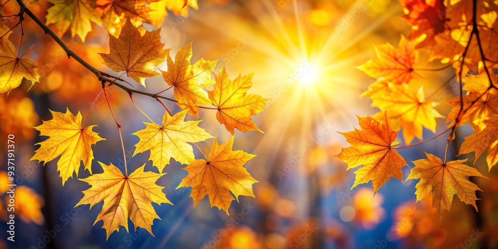 Golden Autumn Leaves in Sunrays, maple leaves, fall foliage, nature, season Golden Autumn Leaves in Sunrays, maple leaves, fall foliage, nature, season