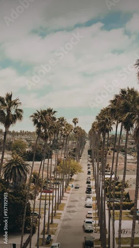 Swaying Palms: Iconic Los Angeles Streets in the Breeze