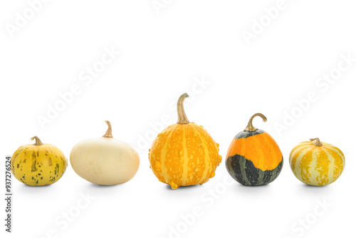 Variety of decorative gourd...
