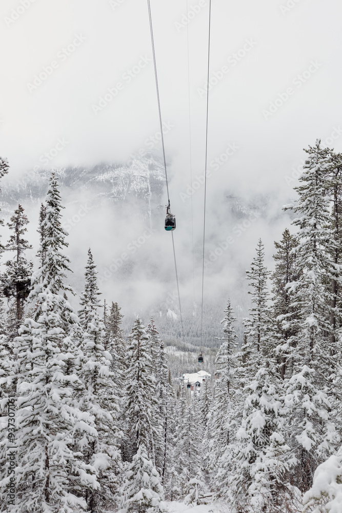 Obraz premium view of a gondola over the trees in the mountains with low clouds with a fresh layer of snow in winter